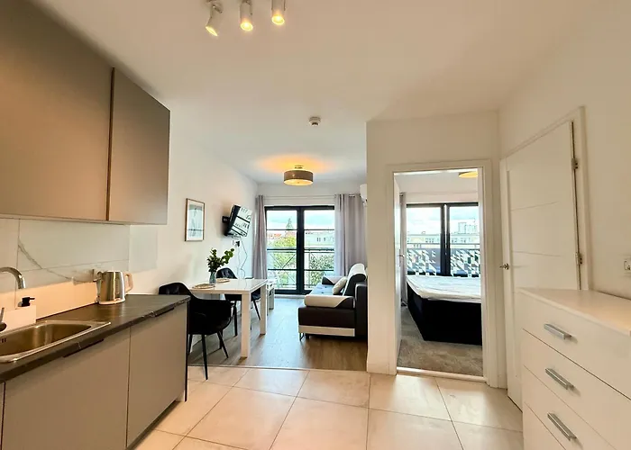 公寓 Torunska 20 & Parking 格但斯克